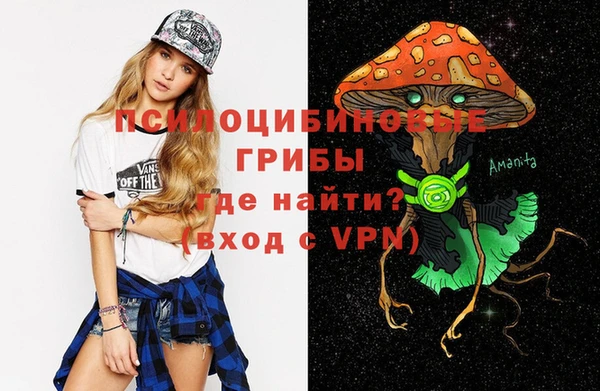 гидропоника Алексин